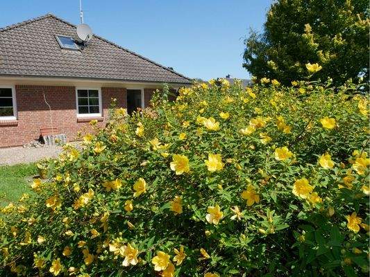 Blick von Süden aufs Haus