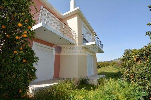 img_77894297-3454-4bf9-b995-151dc3f5bc35