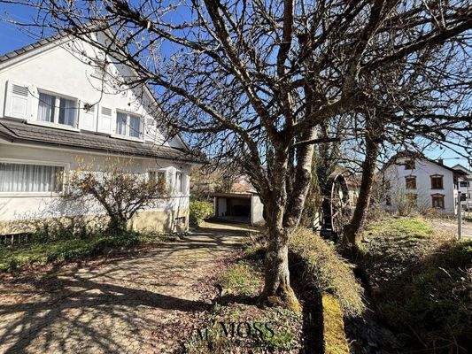 Zufahrt zum Wohnhaus und der Garage