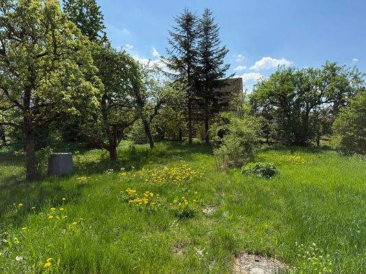 großzügiges Grundstück