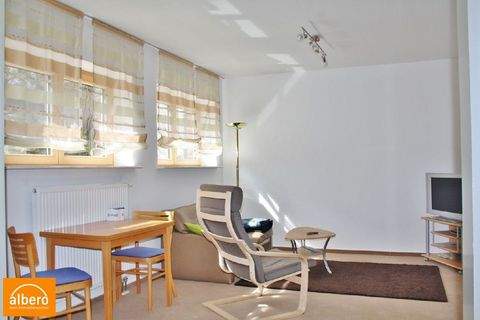 Seligenstadt Wohnungen, Seligenstadt Wohnung mieten