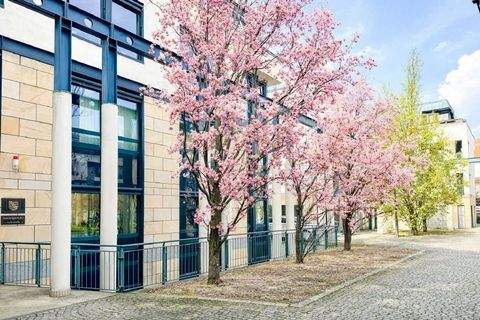 Dresden Büros, Büroräume, Büroflächen 