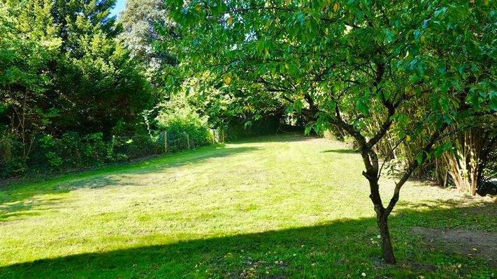 Nordwest Gartenfläche