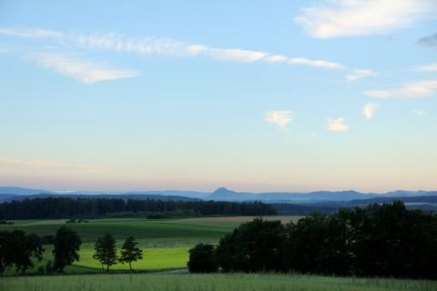 Scheidegg Bauernhöfe, Landwirtschaft, Scheidegg Forstwirtschaft