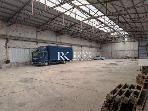 Hannover Halle, Hannover Hallenfläche