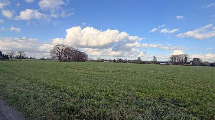 Landwirtschaftsfläche