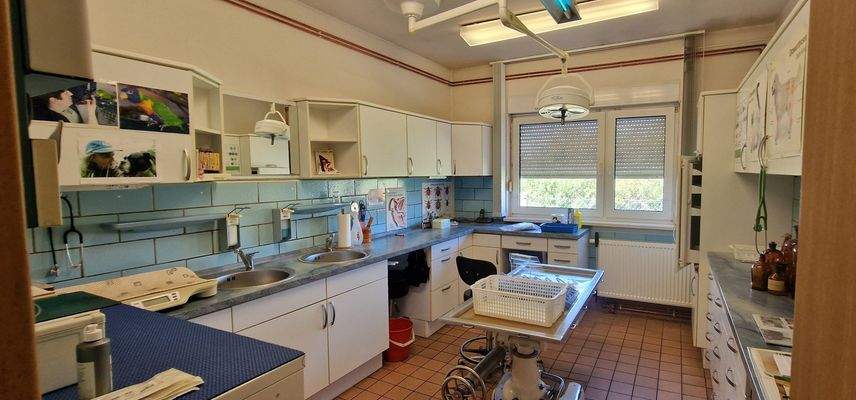 ehemals Behandlungszimmer