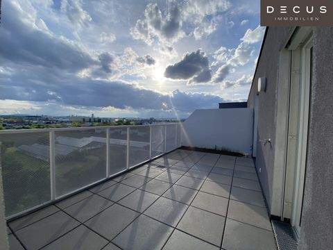 Wien Wohnungen, Wien Wohnung mieten