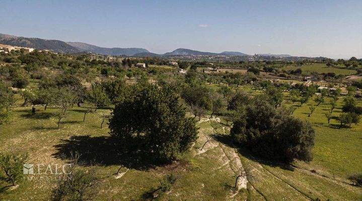 grundstueck-selva-27