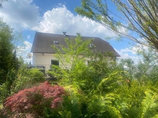 Blick zur Terrasse