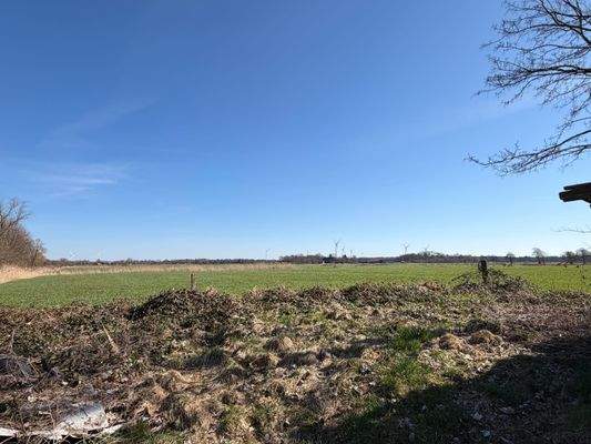 Ausblick vom Grundstück