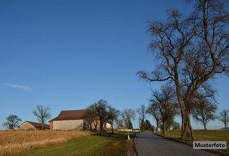 Keine Originalbilder