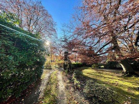 Die Einfahrt - Baumfällung möglich