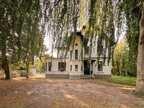 Neumünster Häuser, Neumünster Haus kaufen