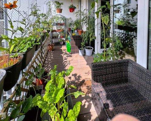 grüne Oase zum Entspannen und Erholen