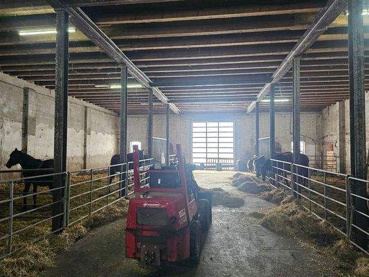 Übergroße Pferdeboxen 