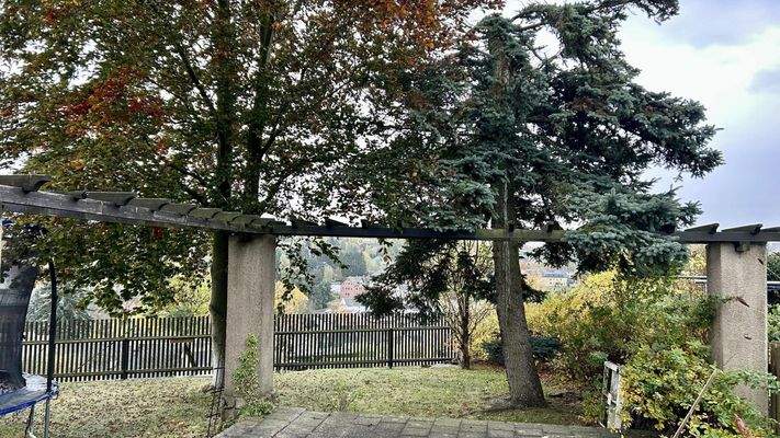 Garten zur Rückseite