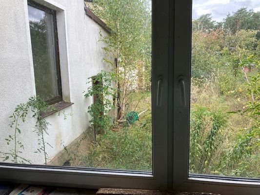 Fenster im Anbau