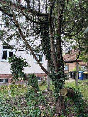 Hausansicht vom Garten