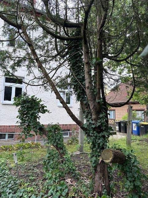 Berlin-Mahlsdorf Grundstücke, Berlin-Mahlsdorf Grundstück kaufen