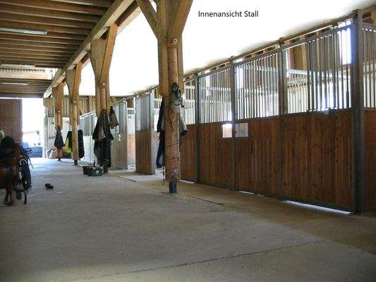 Stall Innenboxen mit Paddock