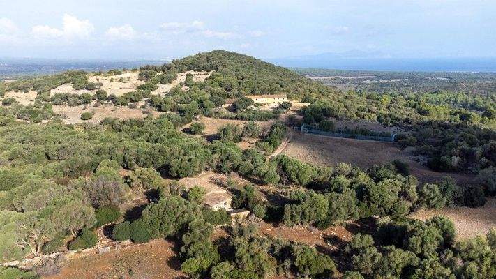 Landwirtschafts-Finca mit mehreren Gebäuden zum Verkauf in Arta, Mallorca