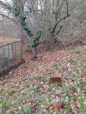 18 Außenaufnahmen.jpg