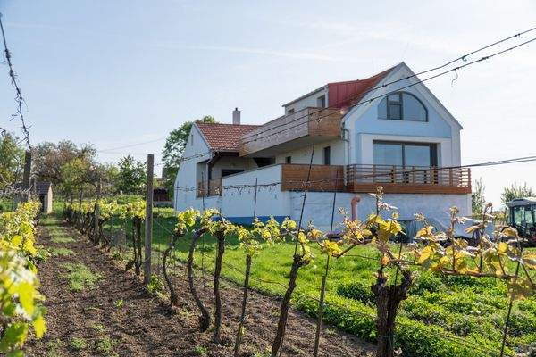 Kopie souboru DSC02254.jpg