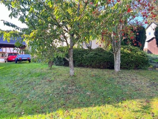 Carport und Garten