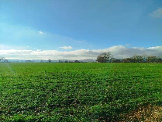 Weitblick