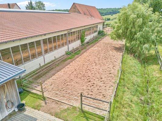 07 Winterpaddock.jpg