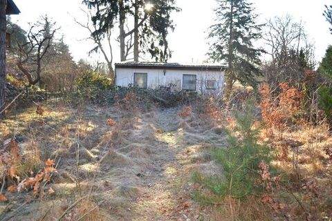 Petershagen/Eggersdorf Grundstücke, Petershagen/Eggersdorf Grundstück kaufen