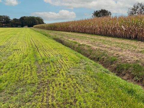Hopsten Bauernhöfe, Landwirtschaft, Hopsten Forstwirtschaft