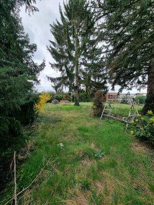 WhatsApp Bild 2024-04-05 um 08.22.22_658fd708.jpg