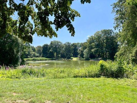 Seerosenteich im Stünzer Park