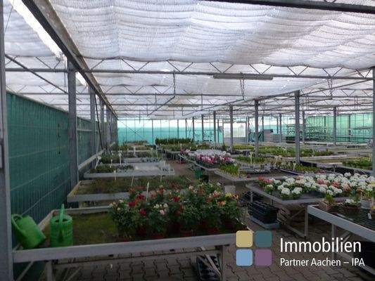 Verkauf und Produktion