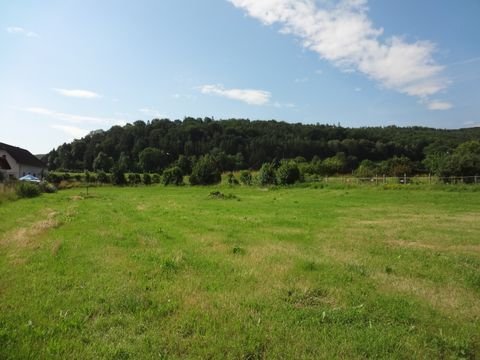 Schiltern (Gem. Seebenstein) Grundstücke, Schiltern (Gem. Seebenstein) Grundstück kaufen