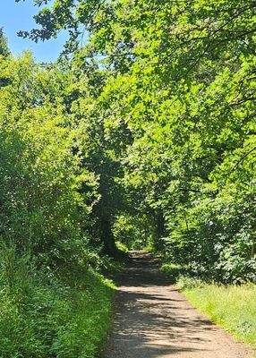 Der Weg zu Ihrem Paradies