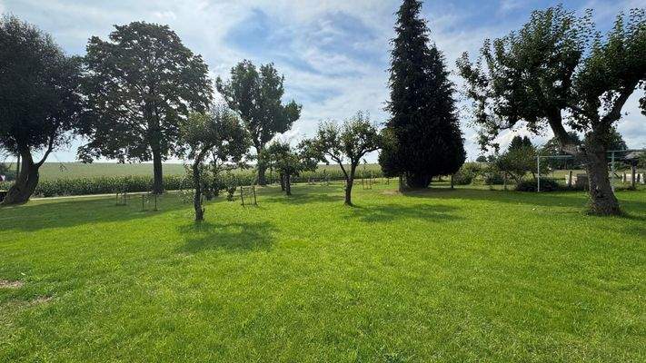 Garten - Streuobstwiese