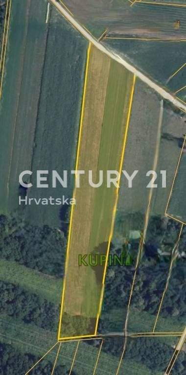 Brezovica jug Bauernhöfe, Landwirtschaft, Brezovica jug Forstwirtschaft