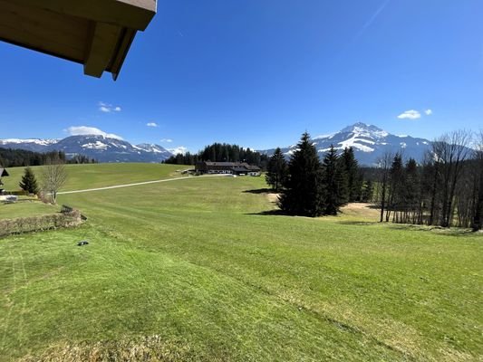 DJI_20250403_132501_935