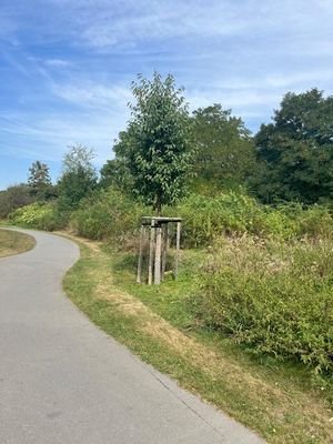 Naturnahes Wohnumfeld - Fahrradwege nur ca. 300 m 