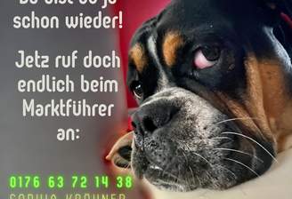 Du schon wieder.png