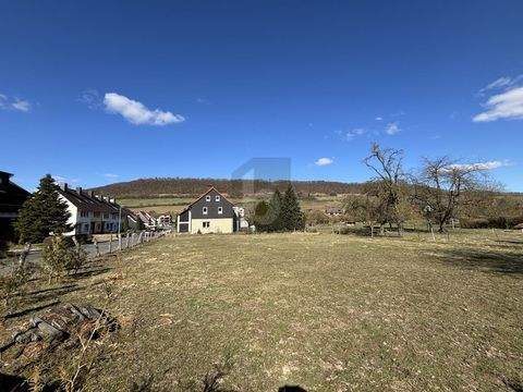 Dassel Grundstücke, Dassel Grundstück kaufen