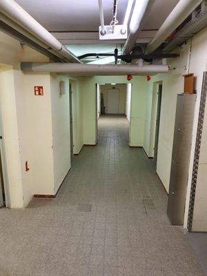 WhatsApp Image 2019-12-20 at 08.58.36.jpeg