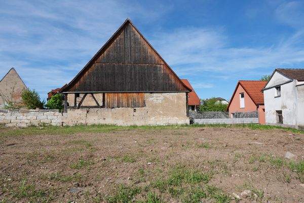Blickfang auf dem Nachbargrundstück 
