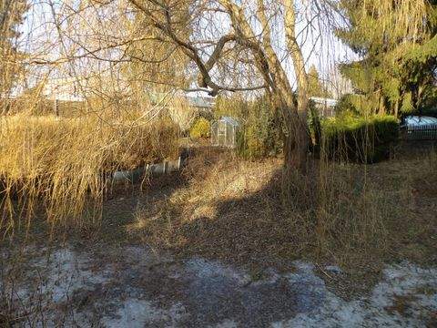 Chemnitz Bauernhöfe, Landwirtschaft, Chemnitz Forstwirtschaft