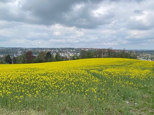 Aussicht von Ihrer Terrasse