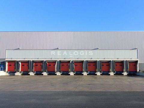 Ludwigsfelde Halle, Ludwigsfelde Hallenfläche