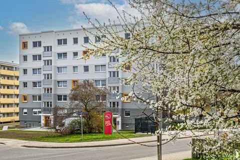 Dresden Wohnungen, Dresden Wohnung mieten